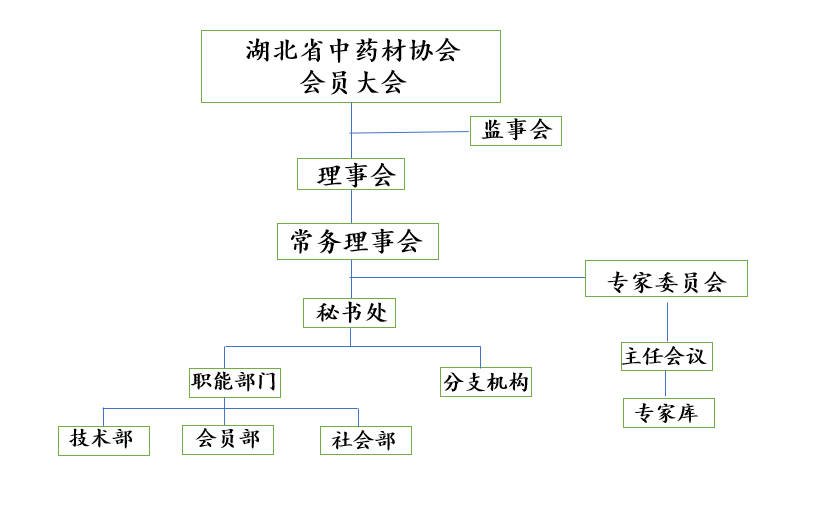 1745400750111.jpg