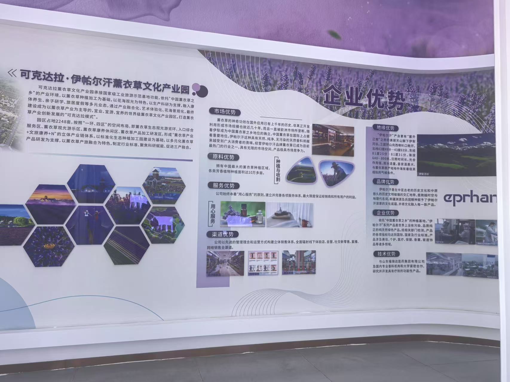 微信图片_2025-07-25_111906_093.jpg