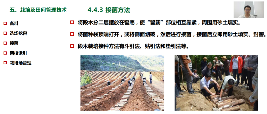 1754352740412.png 图片2.png