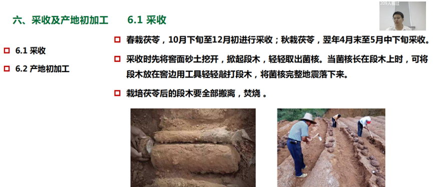 1754352805202.png 图片3.png